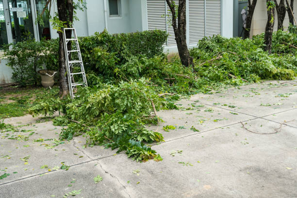 Best Emergency Tree Service  in Centre Hall, PA